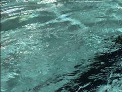 -奥林匹克体育中心游泳馆