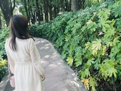 -美兰湖景区