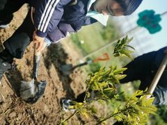 -前小桔亲子创意农场·草莓采摘·露营烧烤