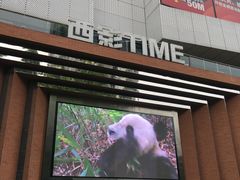 -西安电影制片厂