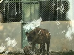 -泉州海丝野生动物世界