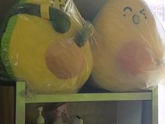 -油梨树AVOCADO TREE(顺义新国展店)