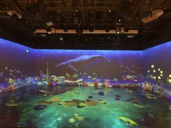 -小鸡哆哆故事屋·儿童乐园(嘉里城店)