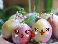 -鲜力达果品批发直销(青山店)
