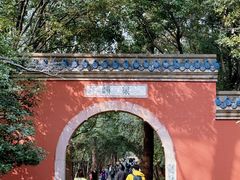 -灵谷景区