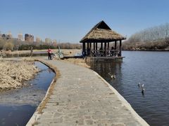 -前关湿地公园