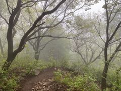 -阳台山自然风景区