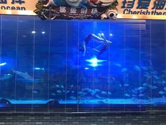 -成都浩海立方海洋公园