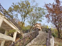 -汤山公园