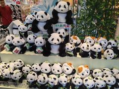-名创优品(青羊窄巷子店)