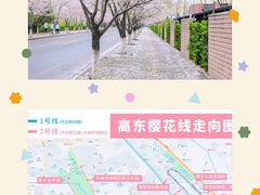 -高东镇樱花园