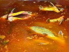 -野山舂·贵州现舂酸汤火锅(鸿通城店)