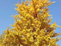 -辽东学院(南校区)