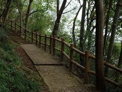 -上海佘山国家森林公园天马山园