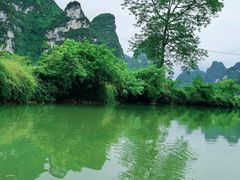 -明仕田园