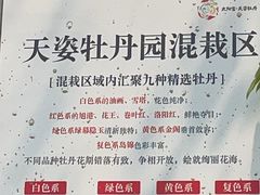 -太阳宫公园