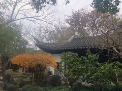 -秋霞圃
