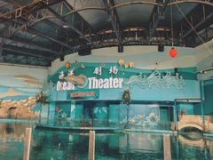 -苏州海洋馆