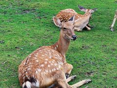 -祥源·阜阳生态乐园