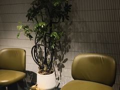 -涟LIAN·泰式按摩·MASSAGE·SPA(华强北店)