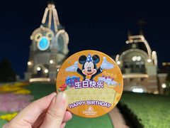 -上海迪士尼度假区