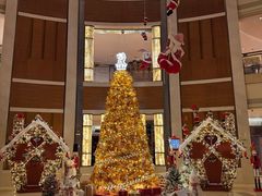 -深圳星河丽思卡尔顿酒店