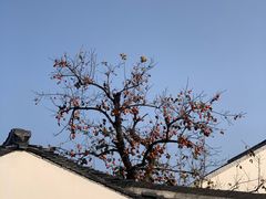 -北寺塔