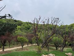 -无锡梅园公园