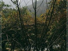 -重庆彩云湖湿地公园