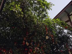 -磁器口古镇