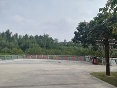 -大亚湾红树林城市湿地公园