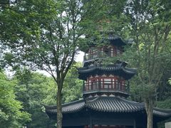 -上海佘山国家森林公园西佘山园