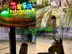 -杭州野生动物世界