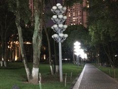 -重庆市江北嘴中央商务区中央公园