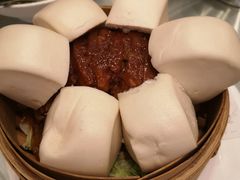 -大鸭梨