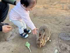 -前小桔亲子创意农场·草莓采摘·露营烧烤