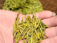 -阿巧茶庄