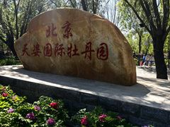 -太阳宫公园