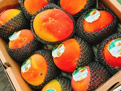 -西郊国际农产品交易中心