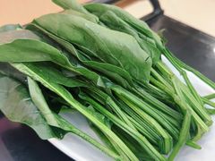 -蝎王府羊蝎子(朝阳北路店)