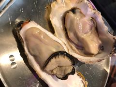 -蚝堡海鲜·威海菜·海肠捞饭·烧烤·亚洲吃蚝公司(幸福门店)