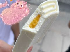 -钟薛高(南头古城店)