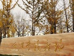 -百林公园-两江幸福广场