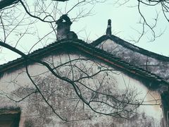 -东山风景区(洞庭东山)