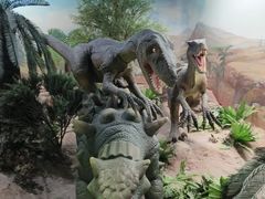 -国家自然博物馆