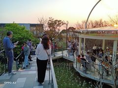 -草山夜未眠景观餐厅