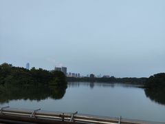 -海珠湖公园