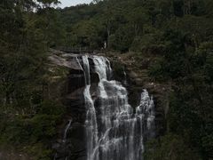 -海南热带雨林国家公园吊罗山景区