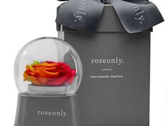 -ROSEONLY诺誓(沈阳万象城店)
