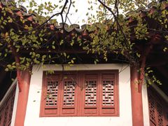 -上海佘山国家森林公园天马山园